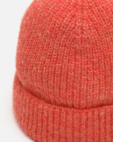 Liora Gorro 