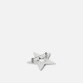 Estrela Broche 