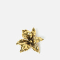 Amina Spilla 