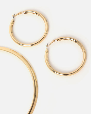 Paca Collar 