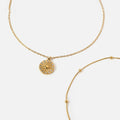 Acepi Collar 