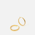 Aceno Pendientes 